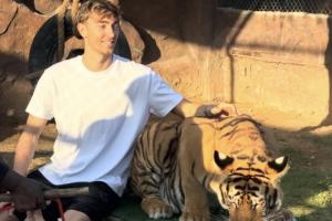 玩的挺野🦁🐯赫伊森在迪拜度假和狮子拔河，上手喂棕熊摸老虎