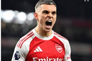 摩根评球：厄德高、拉亚、加布都表现出色，但最佳我选特罗萨德