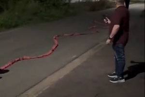 每体：前巴萨后卫德斯特在街上燃放了10万枚鞭炮，庆祝新年