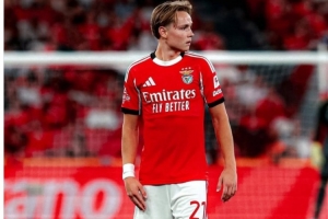 记者：帕尔马有意引进本菲卡21岁边锋谢尔德鲁普