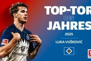 官方：武什科维奇vs不莱梅的蝎子摆尾，当选德甲年度最佳进球