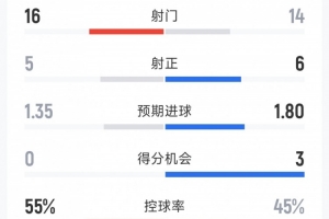 十人切尔西1-2富勒姆全场数据：射门14-16，射正6-5，得分机会3-0