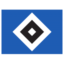 托斯布劳韦斯洛恩